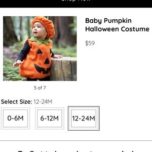 Pottery Barn Kids Pumpkin Costume